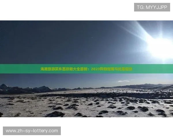 日本煤炉海淘避雷针精选指南：如何避免购买陷阱与常见问题解答